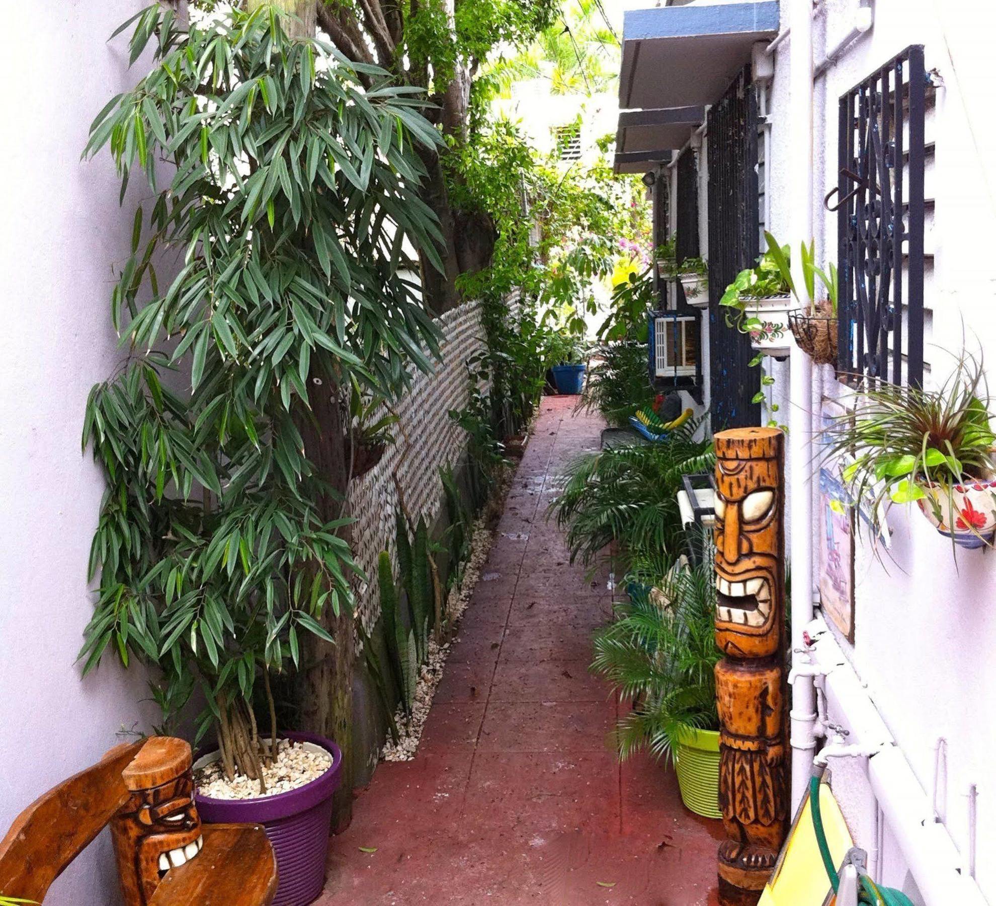 Lower Price, More Style, Discount Studio In San Juan,Pr, Beach, Free Bikes (Adults Only) Сан-Хуан Екстер'єр фото