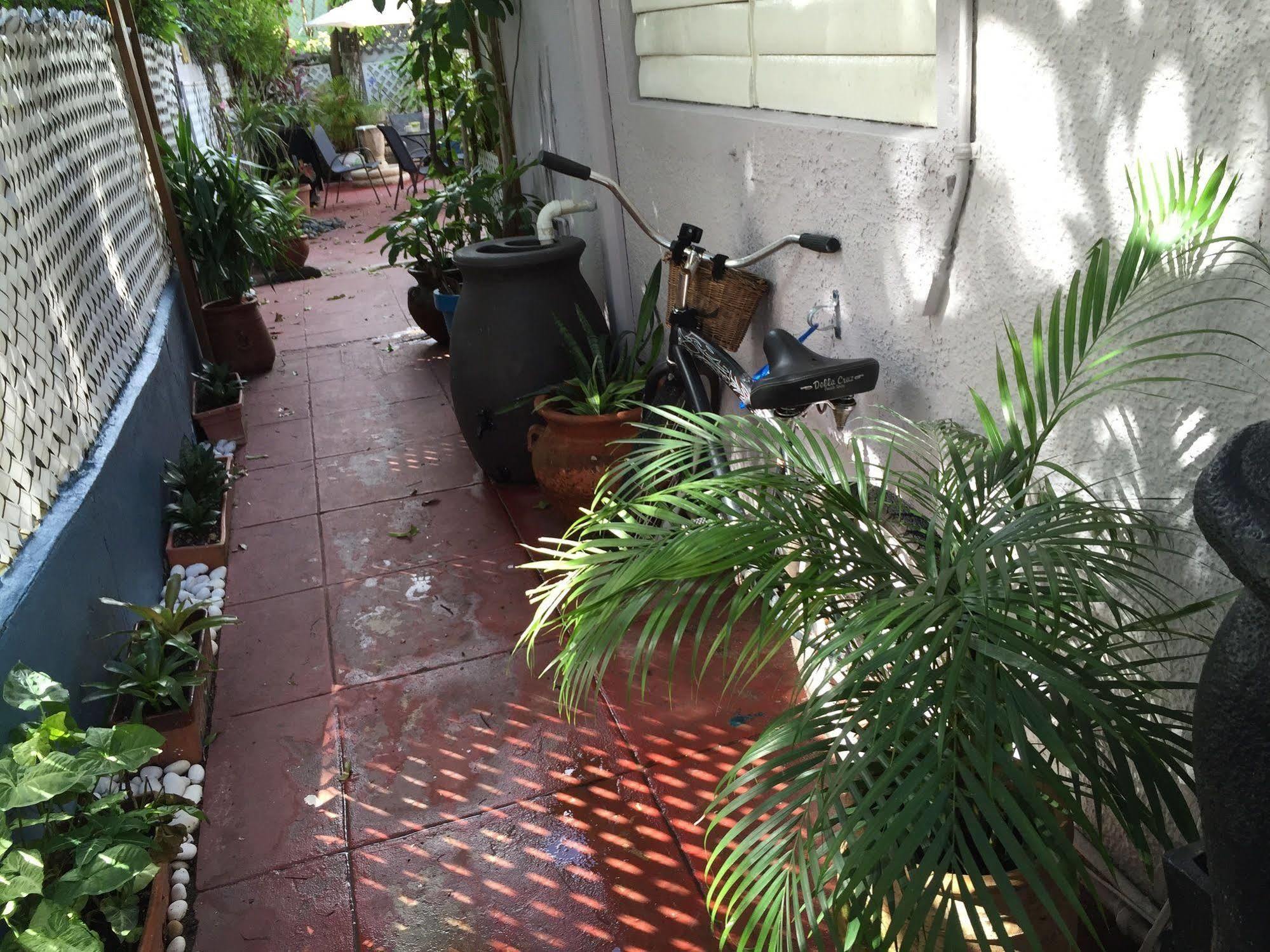 Lower Price, More Style, Discount Studio In San Juan,Pr, Beach, Free Bikes (Adults Only) Сан-Хуан Екстер'єр фото